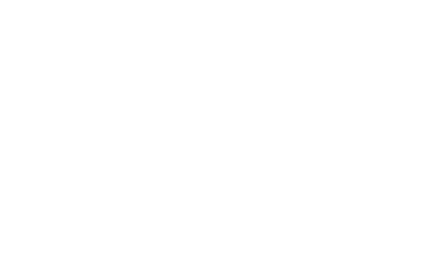 ISEF logo